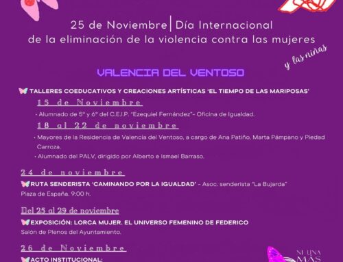 DÍA INTERNACIONAL DE LA ELIMINACIÓN DE LA VIOLENCIA HACIA LAS MUJERES Y LAS NIÑAS