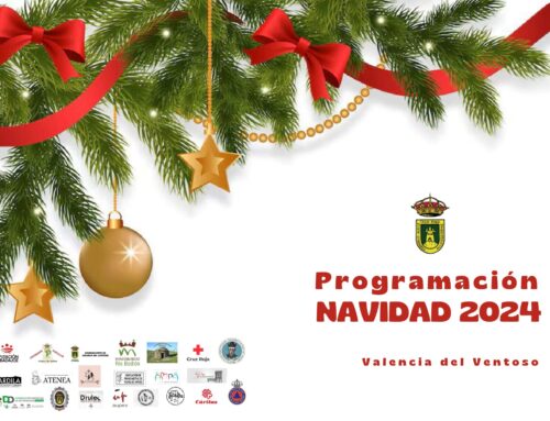 PROGRAMACIÓN NAVIDAD